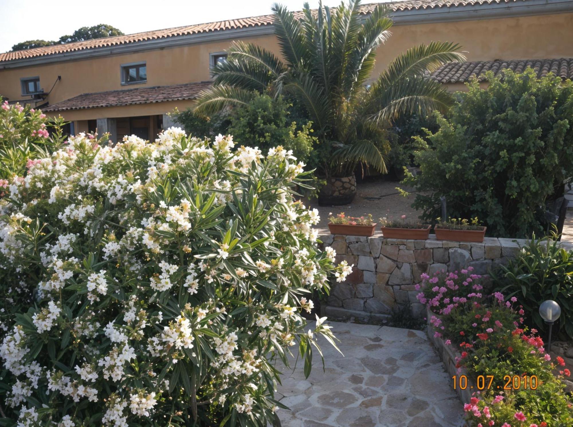 Agriturismo Lu Colbu Trinità dʼAgultu المظهر الخارجي الصورة